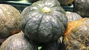 Abóbora Cabotiá (Saco 20kg)