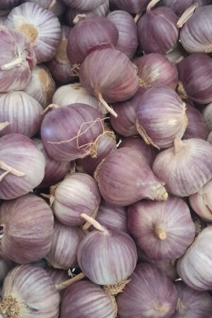 Alho Roxo Importado (Caixa 10kg)