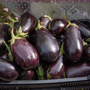 Berinjela (Caixa 12kg)