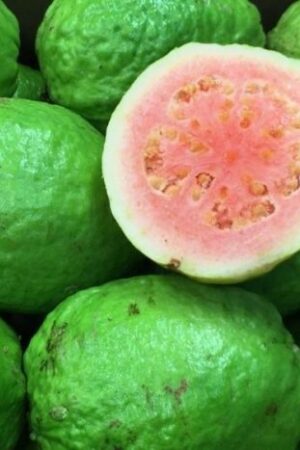 Goiaba Vermelha (Caixa 20kg)