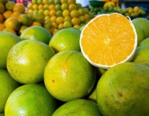 Laranja Pera (Saco 20kg)