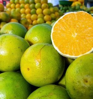Laranja Pera (Saco 20kg)