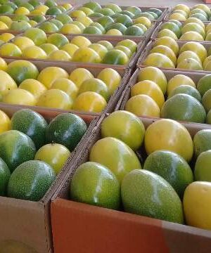 Maracujá Azedo (Saco 15kg)