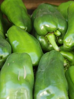 Pimentão Verde (Caixa 10kg)