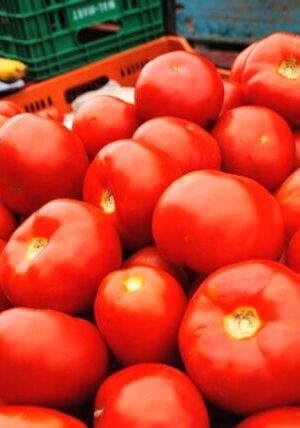 Tomate Carmem (Caixa 22kg)