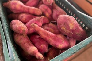 Batata Doce (Saco 20kg)