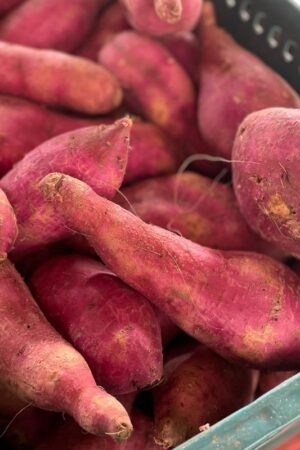 Batata Doce (Saco 20kg)