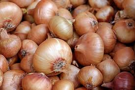 Cebola Pera (Saco 20kg)